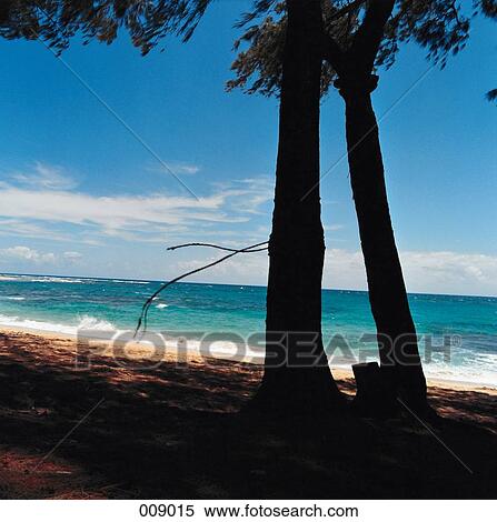 ocean view View Large Photo Image Stock Photography - ocean view. Fotosearch
