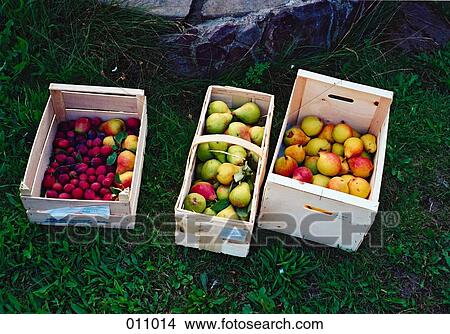 Picture - baskets of fruit lying on grass. Fotosearch