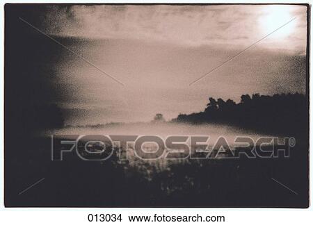 Picture - view of a forest at night. Fotosearch