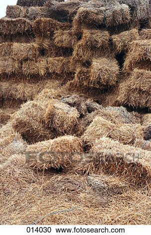 hay fallen from a hay stack View Large Photo Image Stock Image - hay fallen from a hay stack. Fotosearch