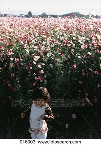 baby in front of field of flowers View Large Photo Image Stock Image - baby in front of field of flowers. Fotosearch