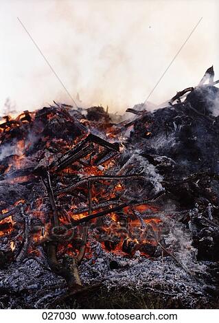Stock Image - A burning fire. Fotosearch