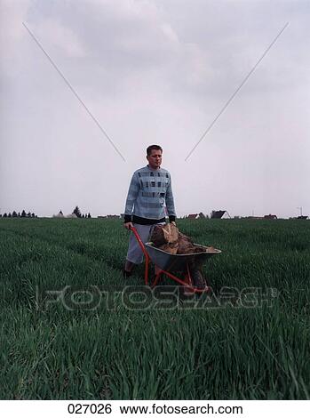 Stock Photograph - A man pushing a wheelbarrow through a field. Fotosearch