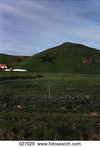 A star printed on a grass-covered hill View Large Photo Image Stock Photo - A star printed on a grass-covered hill. Fotosearch