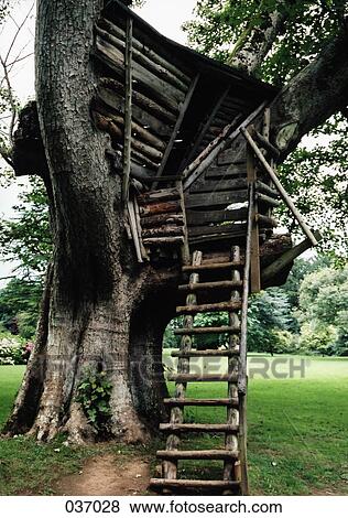 Ladder leading up to a tree house View Large Photo Image Stock Photo - Ladder leading up to a tree house. Fotosearch