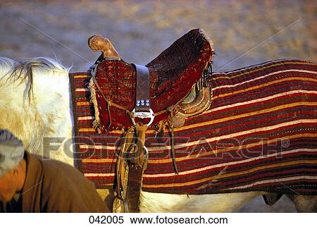Tibet, saddled horse View Large Photo Image Stock Photography - Tibet, saddled horse. Fotosearch