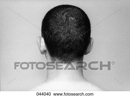Stock Image - The back of a man's head. Fotosearch