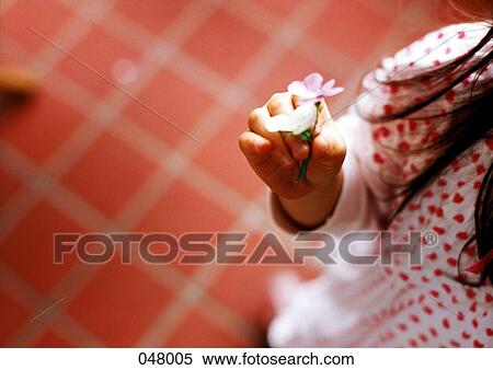 girl holding a flower View Large Photo Image Stock Photography - girl holding a flower. Fotosearch
