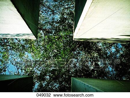 abstract architecture with trees View Large Photo Image Stock Image - abstract architecture with trees. Fotosearch
