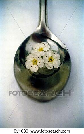 Flower petals floating in a spoon View Large Photo Image Stock Image - Flower petals floating in a spoon. Fotosearch
