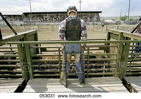 Stock Image - A bullrider at a rodeo. Fotosearch