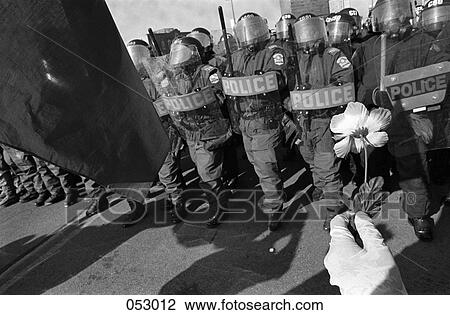 A line of riot police and a person holding a flower View Large Photo Image Stock Image - A line of riot police and a person holding a flower. Fotosearch