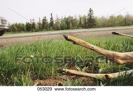 A man fishing View Large Photo Image Stock Photo - A man fishing. Fotosearch