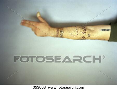A person's arm View Large Photo Image Stock Image - A person's arm. Fotosearch