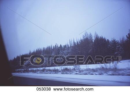 Stock Photo - Moose crossing sign from highway. Fotosearch
