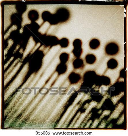 Abstract composition View Large Photo Image Stock Photography - Abstract composition. Fotosearch
