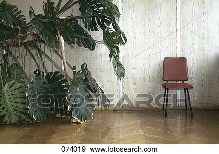 A chair and plant in a room View Large Photo Image Stock Photo - A chair and plant in a room. Fotosearch