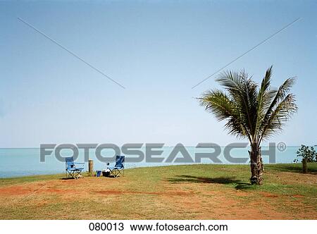 Two empty lounge chairs next to a palm tree by the sea, Australia View Large Photo Image Stock Image - Two empty lounge chairs next to a palm tree by the sea, Australia. Fotosearch
