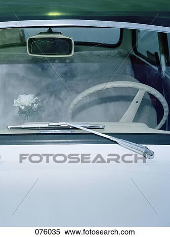 A flower on the dashboard of a car View Large Photo Image Stock Photography - A flower on the dashboard of a car. Fotosearch