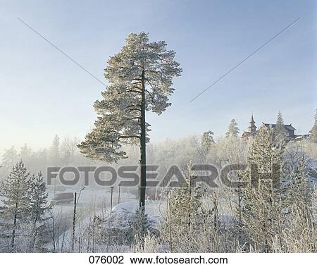 A winter landscape View Large Photo Image Stock Image - A winter landscape. Fotosearch