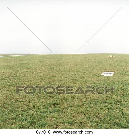 A grass field View Large Photo Image Stock Image - A grass field. Fotosearch