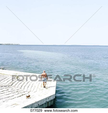 Man walking dog by water's edge, Florida, USA View Large Photo Image Stock Photo - Man walking dog by water's edge, Florida, USA. Fotosearch