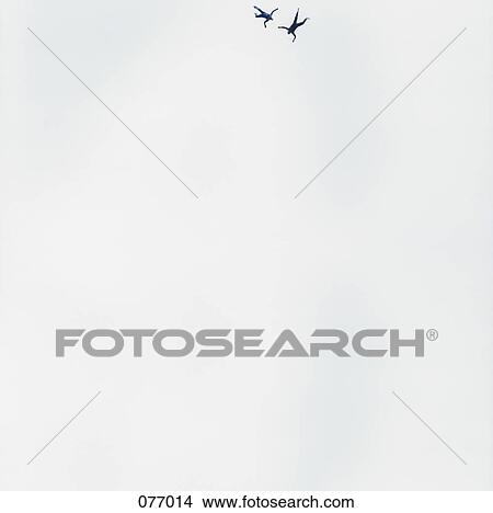 Picture - Two skydivers. Fotosearch
