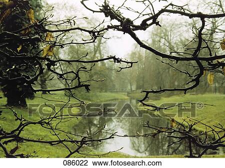 Close-up of branches with landscape in the background View Large Photo Image Stock Image - Close-up of branches with landscape in the background. Fotosearch