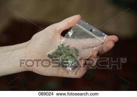 Picture - Woman holding bag of marijuana. Fotosearch