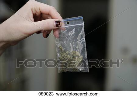 Woman holding bag of marijuana View Large Photo Image Stock Image - Woman holding bag of marijuana. Fotosearch