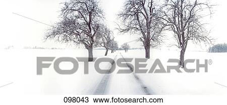 Country road in winter, Bavaria, Germany View Large Photo Image Stock Image - Country road in winter, Bavaria, Germany. Fotosearch