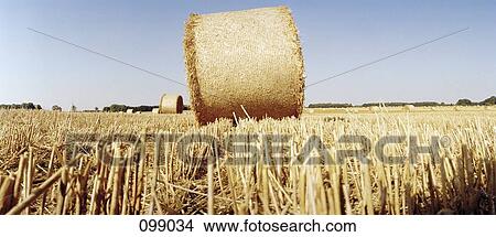 Bales of hay, Brandenburg, Germany View Large Photo Image Picture - Bales of hay, Brandenburg, Germany. Fotosearch