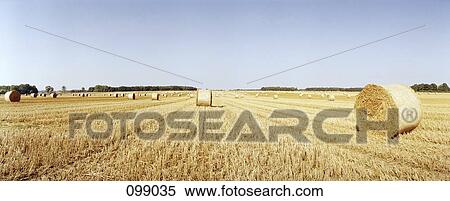 Bales of hay, Brandenburg, Germany View Large Photo Image Stock Photography - Bales of hay, Brandenburg, Germany. Fotosearch