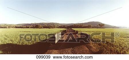Dirt path, Goa, India View Large Photo Image Stock Photo - Dirt path, Goa, India . Fotosearch