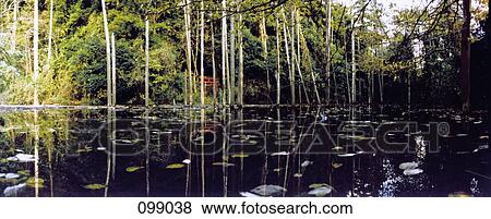 Stock Photo - Red gate near pond, Yokohama, Japan . Fotosearch