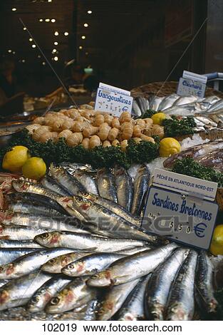Fish market, Paris, France View Large Photo Image Stock Photo - Fish market, Paris, France. Fotosearch