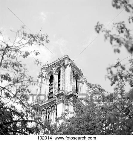 Picture - Notre Dame cathedral, Paris, France. Fotosearch