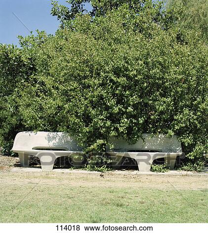 Park bench obscured by trees View Large Photo Image Stock Photo - Park bench obscured by trees. Fotosearch