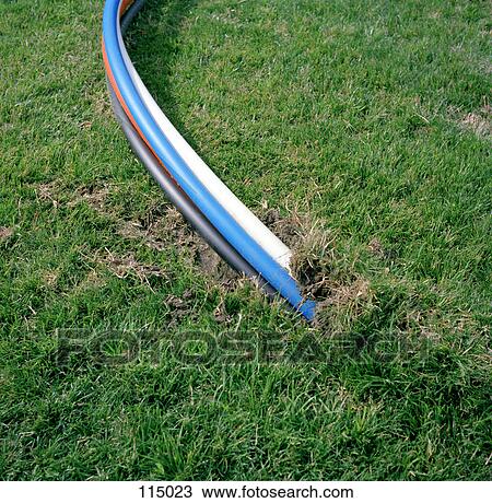 Four cables in the grass View Large Photo Image Stock Image - Four cables in the grass. Fotosearch