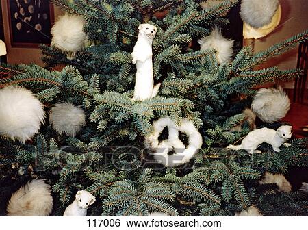 Christmas tree decorations View Large Photo Image Stock Photograph - Christmas tree decorations. Fotosearch
