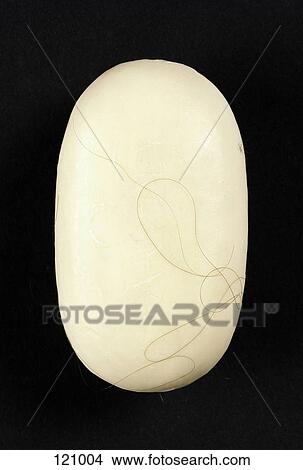 Hair strand on bar of soap View Large Photo Image Picture - Hair strand on bar of soap. Fotosearch