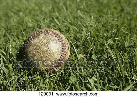 Stock Image - A baseball in the grass. Fotosearch