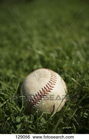 Baseball in grass View Large Photo Image Stock Photograph - Baseball in grass. Fotosearch