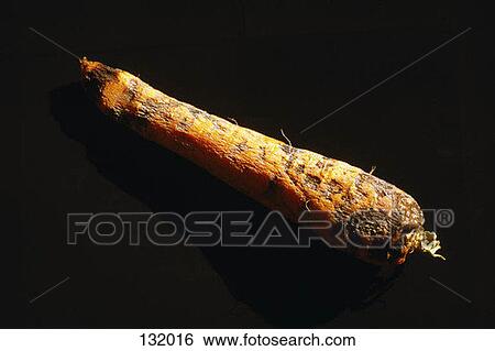 Close-up of wheat View Large Photo Image Stock Photograph - Close-up of wheat. Fotosearch