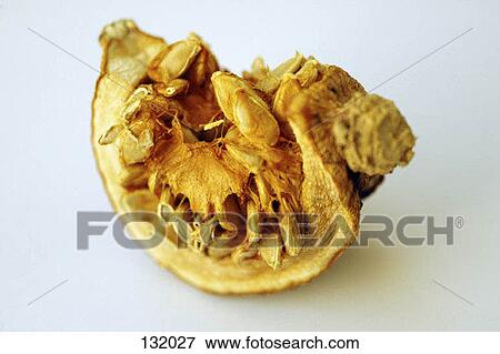 Stock Photo - Dried apricot. Fotosearch