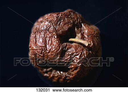 Rotten apple View Large Photo Image Stock Image - Rotten apple. Fotosearch
