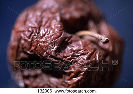 Rotten apple View Large Photo Image Stock Photograph - Rotten apple. Fotosearch