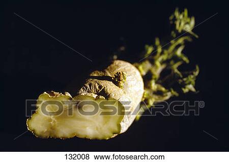 Rotten banana View Large Photo Image Stock Photo - Rotten banana. Fotosearch