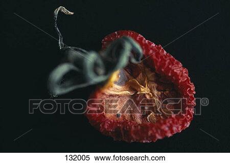 Rotten fruit View Large Photo Image Stock Photography - Rotten fruit. Fotosearch