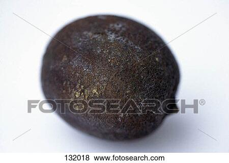Rotten lemon View Large Photo Image Stock Photo - Rotten lemon. Fotosearch